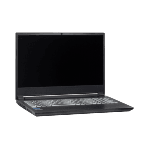 Clevo NH55EHQ 15.6-inch AMD Workstation