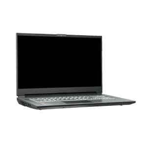 Clevo NH79ERQ 17.3-inch AMD Gamer