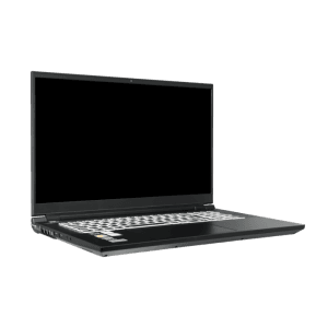 Clevo PD70PNT 17,3-inch Video Editor