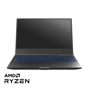 Tongfang GK5NPFO 15.6-inch AMD Linux Laptop