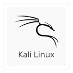 Kali Linux 2025 (64-bit)